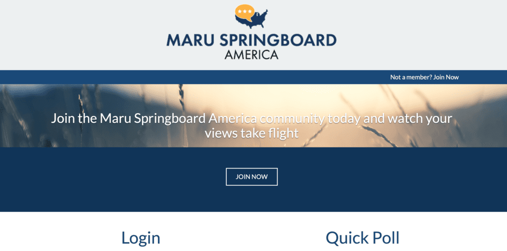 springboard-america focus groups